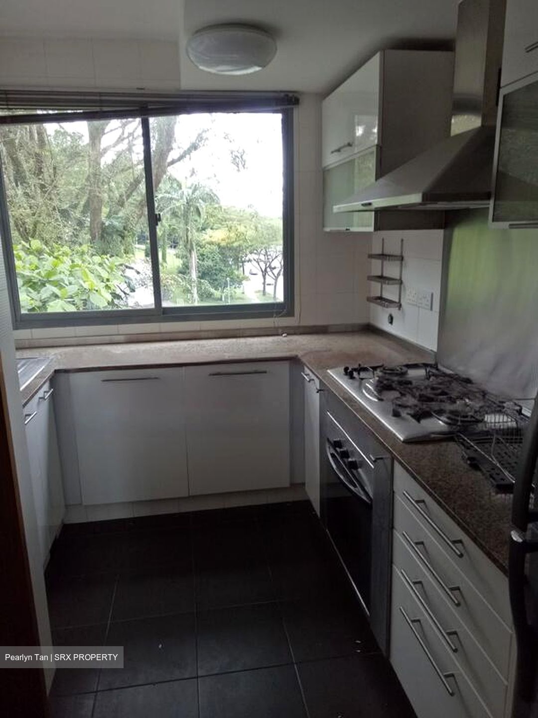 Adam Park Condominium (D11), Condominium #437270411